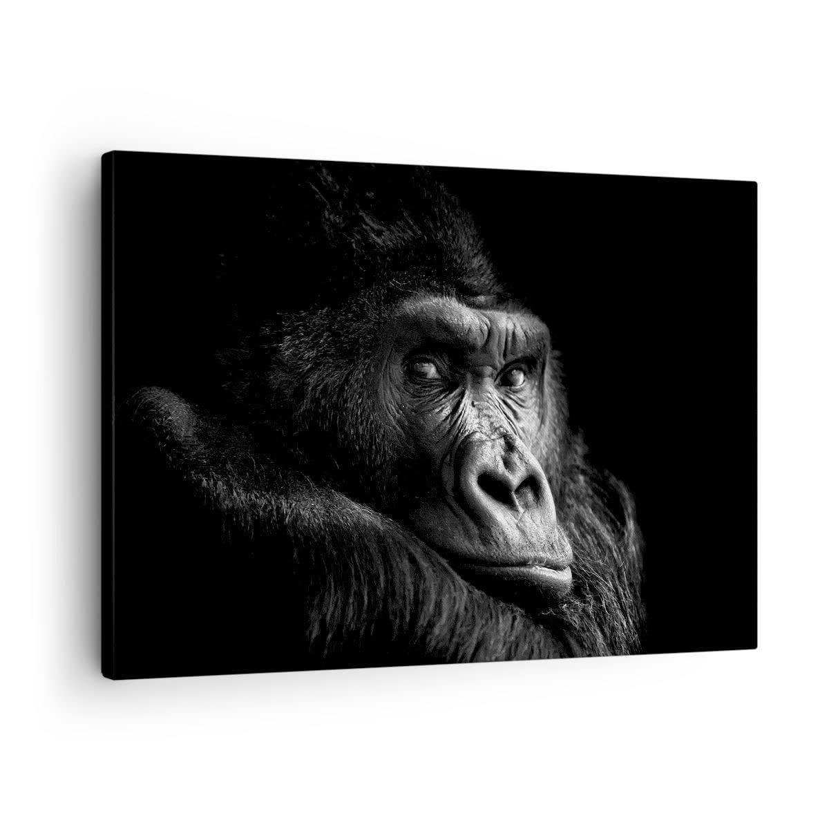 Impression sur toile singe haute definition cadre horizontal deco murale - 7