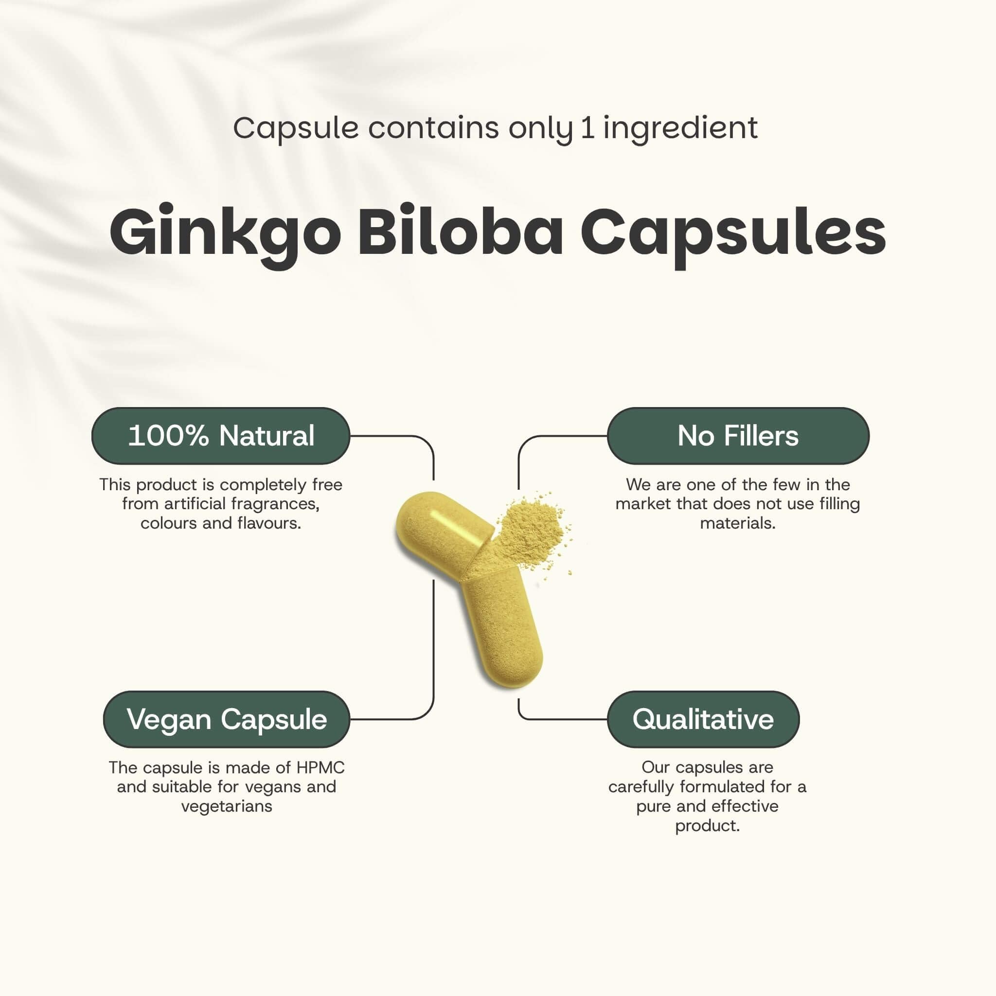 Ginkgo Biloba Kapseln 100 mg Kombideal 4x 60 Capsules - Gedächtnis & Konzentration - Nootropika Ginkgo - Vegan - Ohne Zusatzstoffe - Laborgeprüft - 60 Tage Vorrat pro Beutel