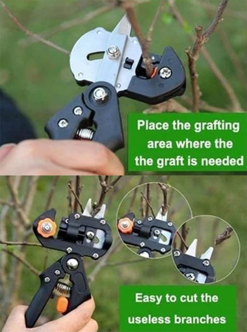 Innesto Potatore Attrezzo da Giardino Troncarami Cesoie da potatura Cesoie per Piante Scatole Forbici per Alberi da frutto Trinciatrice Vaccinazione Taglio