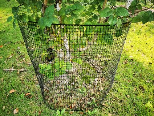 PotatoLife Black Plastic Garden Fence, Hardware Mesh, 40'' x 25' by PotatoLife - Used condition - Image 5