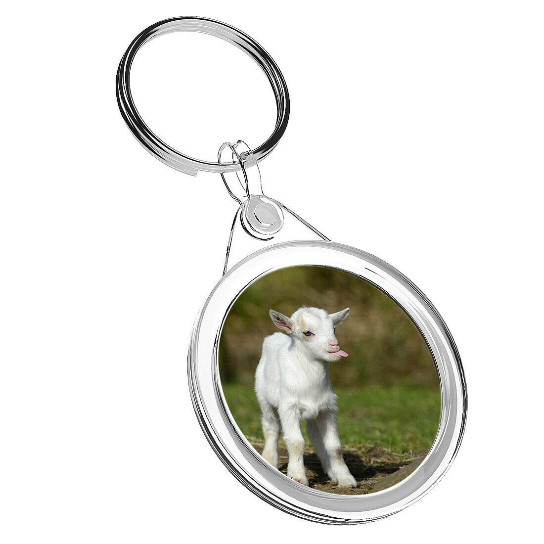 1 x Cute White Baby Goat Farm - Keyring IR02 Mum Dad Kids Birthday #8650