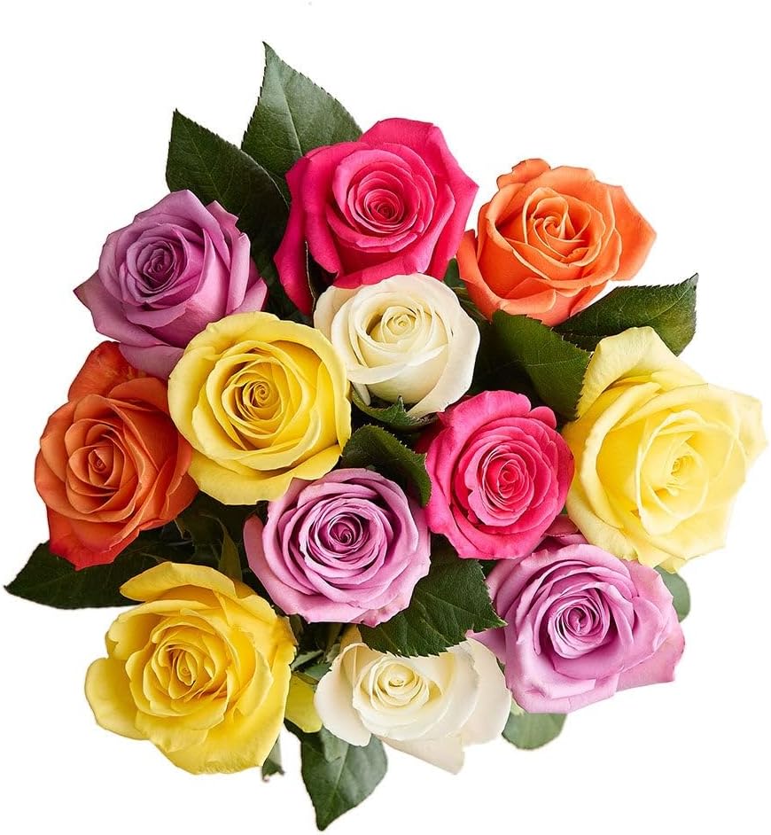 1800 Flowers – 24 Stem Assorted Bright Roses (Bouquet Only) | Fresh Cut Spring Flowers for Delivery | Gift for Mother's Day, Anniversary, Sympathy, and Special Occasions