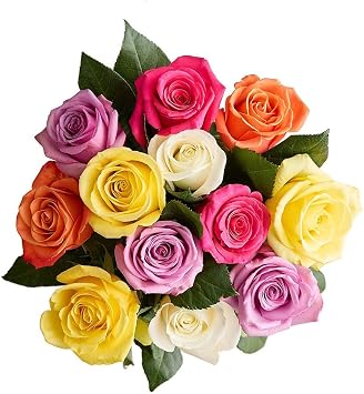 1800 Flowers - 12 Stem Assorted Roses Bouquet Only, Fresh Flowers | Fresh Cut Rose Bouquet, Ships in a Gift Box, Ready to Arrange, Ideal Summer Gift for Birthdays and Anniversaries