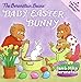 The Berenstain Bears' Baby Easter Bunny