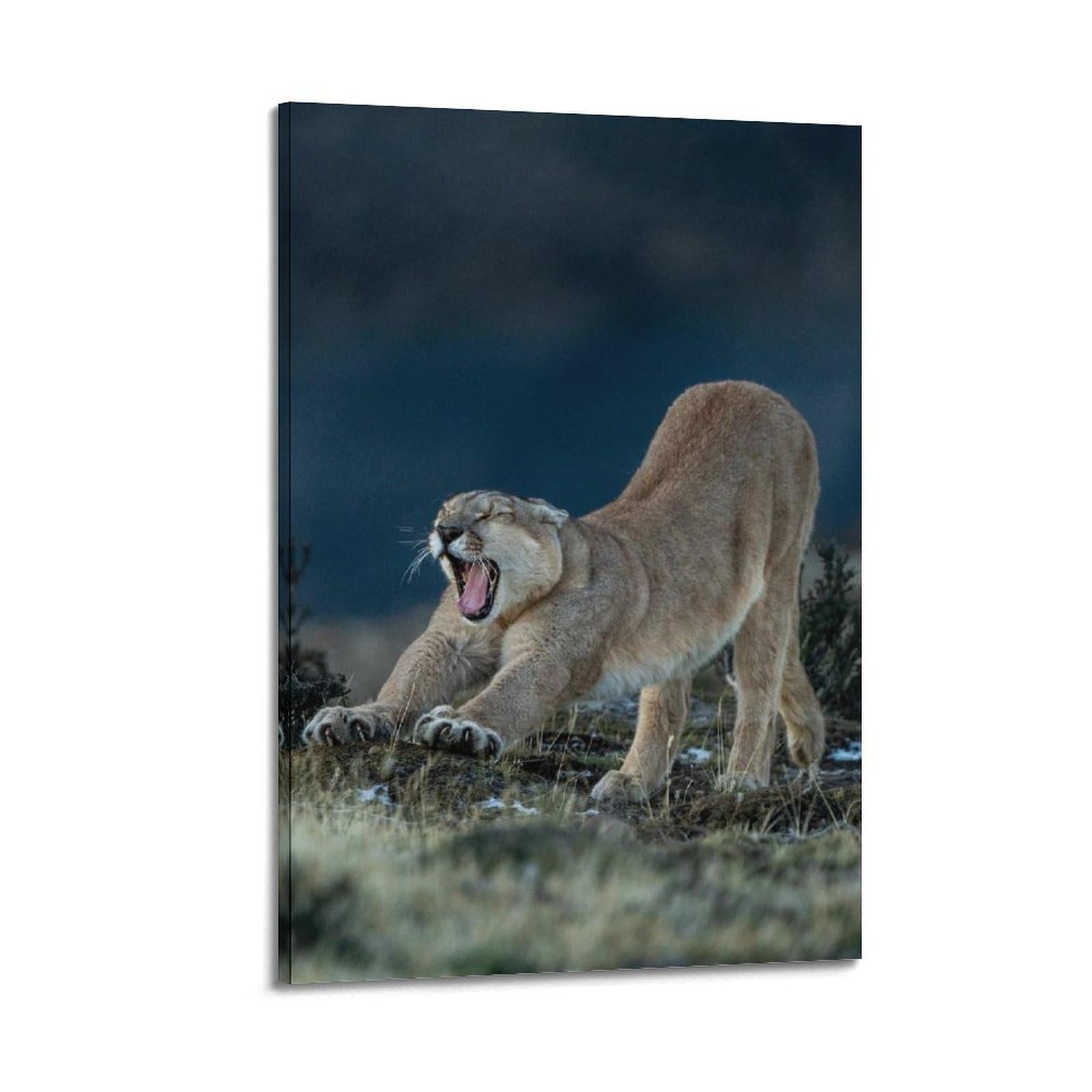 XKUGA Wild Felines Poster Cougar Big Cat Habitat Modern Decorative Canvas Prints - Ideal Wall Art for Family, Man Cave, Game Room, Boys & Girls Bedroom 12x18inch(30x45cm)