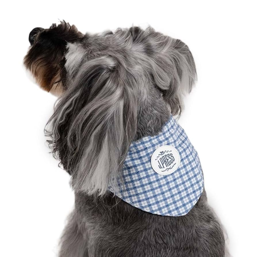 わんこパンタさん専用ページです。 楽天市場】bingopaw 犬用ケージ 屋根付き 小型犬 中型犬 黒 頑丈