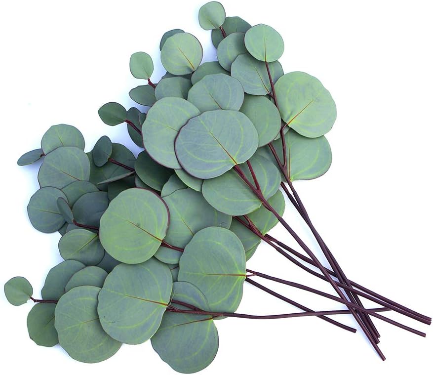 Faux Silver Dollar Eucalyptus | 8 Stems | Artificial Classic Silk Greenery Leaves for Floral Arrangement