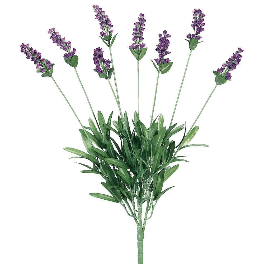 19" Lavender Bush x8 Lavender Blue (Pack of 12)