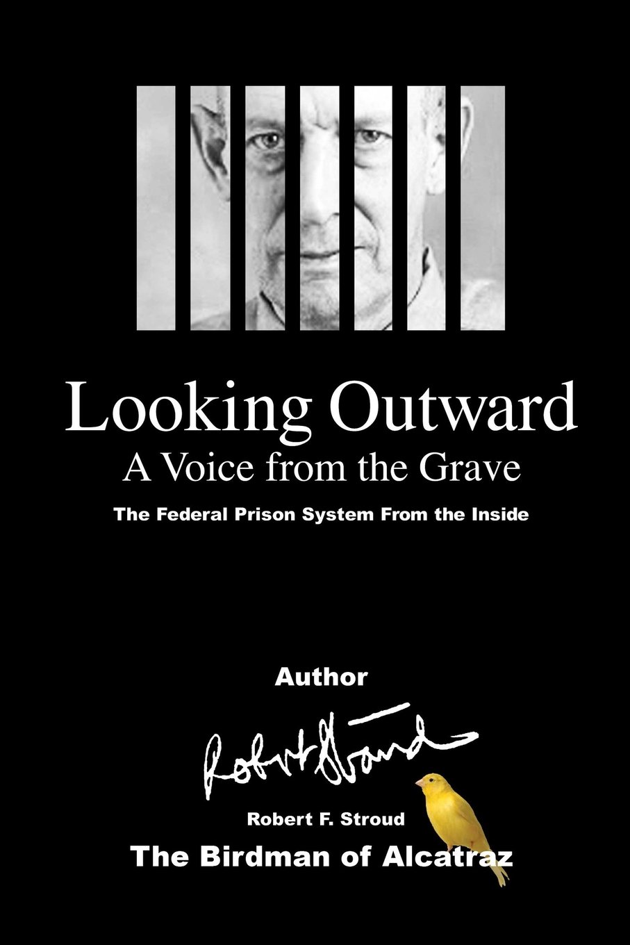 Looking Outward: A Voice from the Grave: Volume 1