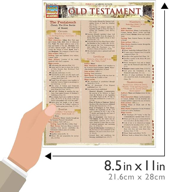 Old Testament: : a QuickStudy Laminated Reference Guide (QuickStudy Academic)