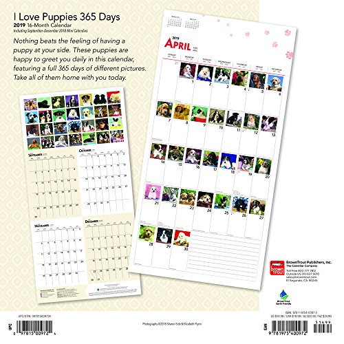 I Love Puppies 365 Days 2019 12 X 12 Inch Monthly Square Wall Calendar With Foil Stamped Cover, Animals Dog Breeds Puppies #TOP1