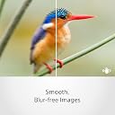 Sony E Mount E 35mm F1.8 OSS APS-C Lens (SEL35F18) | Standard Prime | Portrait Photography gallery image
