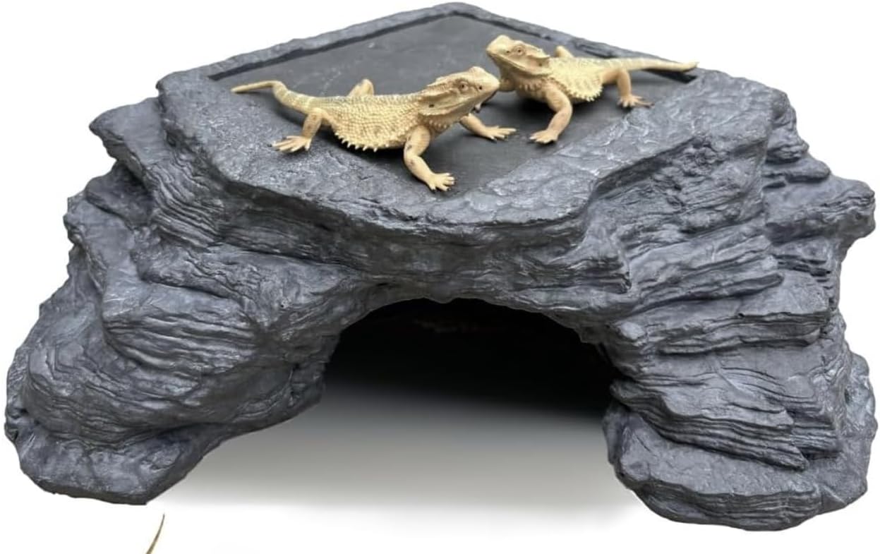 Bearded Dragon Basking Platform