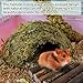 kathson 1Pcs Hamster Hideout, Moss Coconut Hut, Pet Hiding House, Hamster House for Mouse Mice Rat Guinea Pigs Reptiles