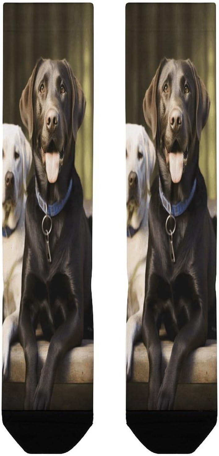 Labrador Compression Sock Circulation Support Socks Lightweight Knee High Tube Sock Over-The-Calf Sock for Adult