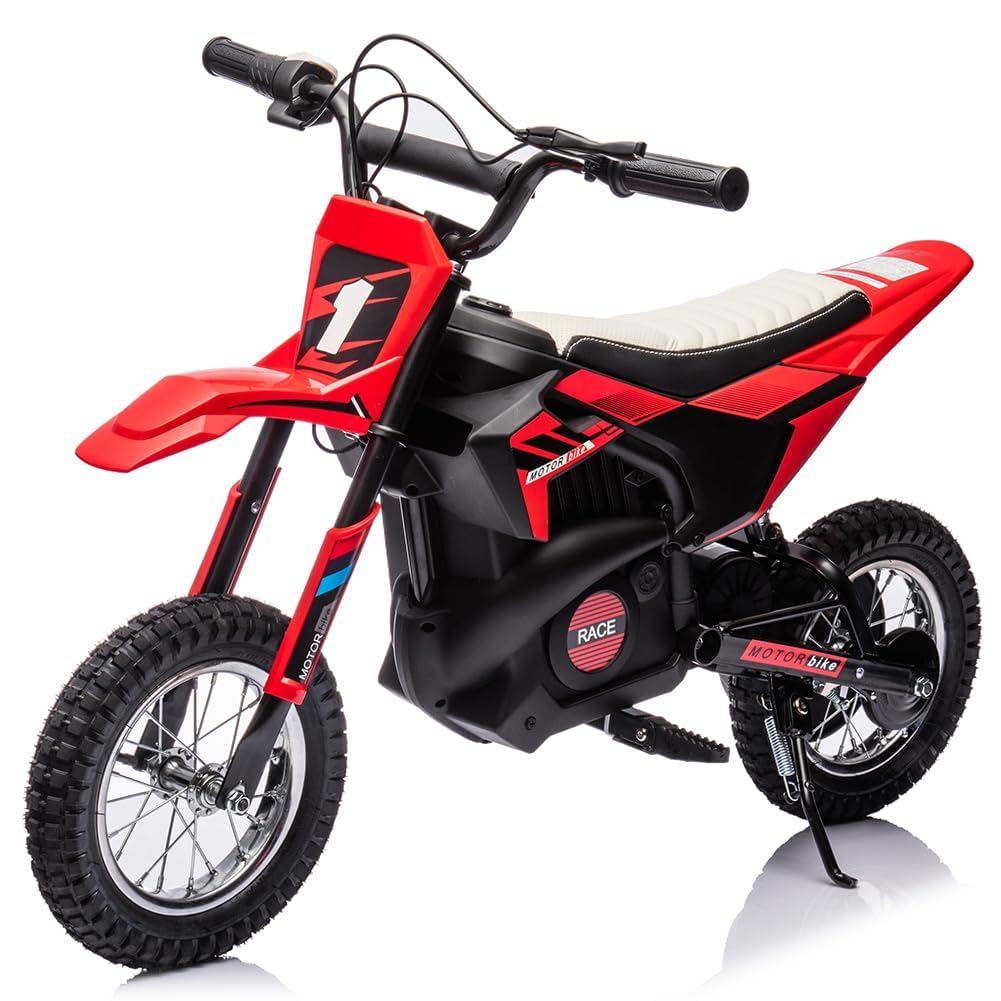 Nasitip 24V Electric Off-Road Motorcycle