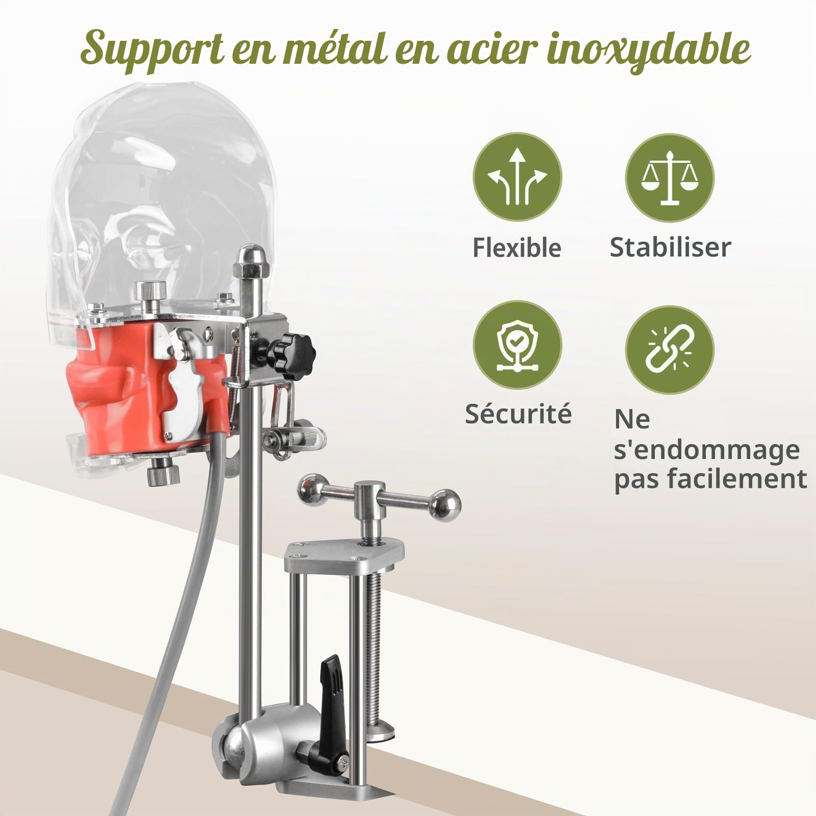 Ultrassist Mannequin dentaire avec 32 dents Typodont, support Typodont, tête fantôme dentaire