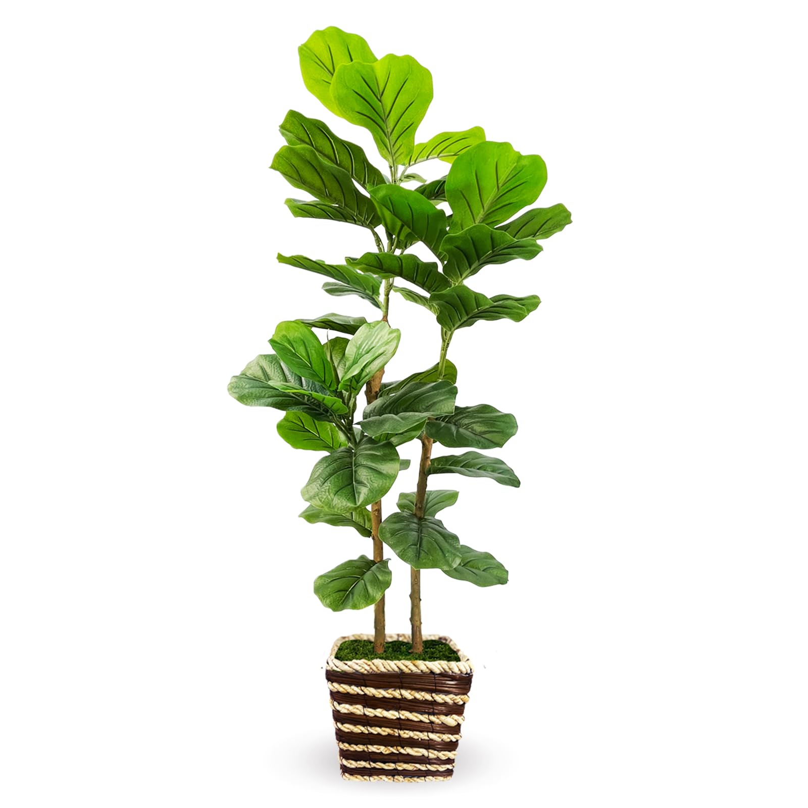 Figuier artificiel d'intérieur : oubliez l'arrosage avec ce grand ficus en bois véritable