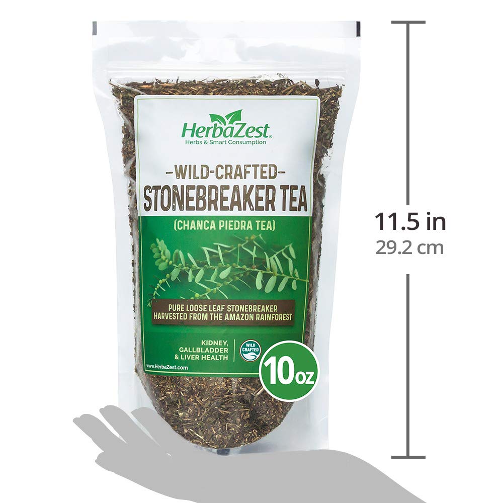 HerbaZest Stonebreaker Tea –10oz – (Chanca Piedra Tea) – Amazon-Sourced, Wild-Crafted Loose Leaves & Stems with a Naturally Mild Flavor