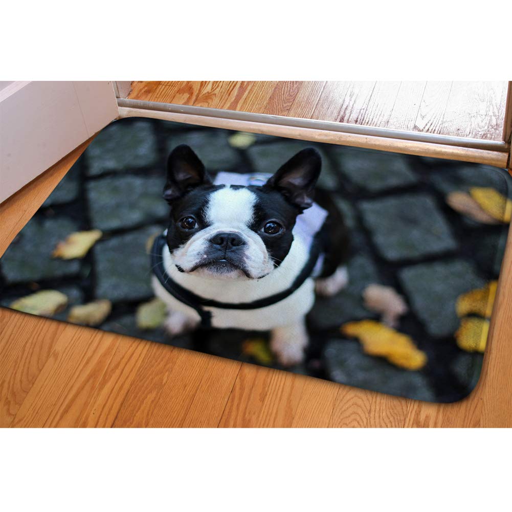 Hugs Idea Cute Boston Terrier Print Washable Absorbent Doormats
