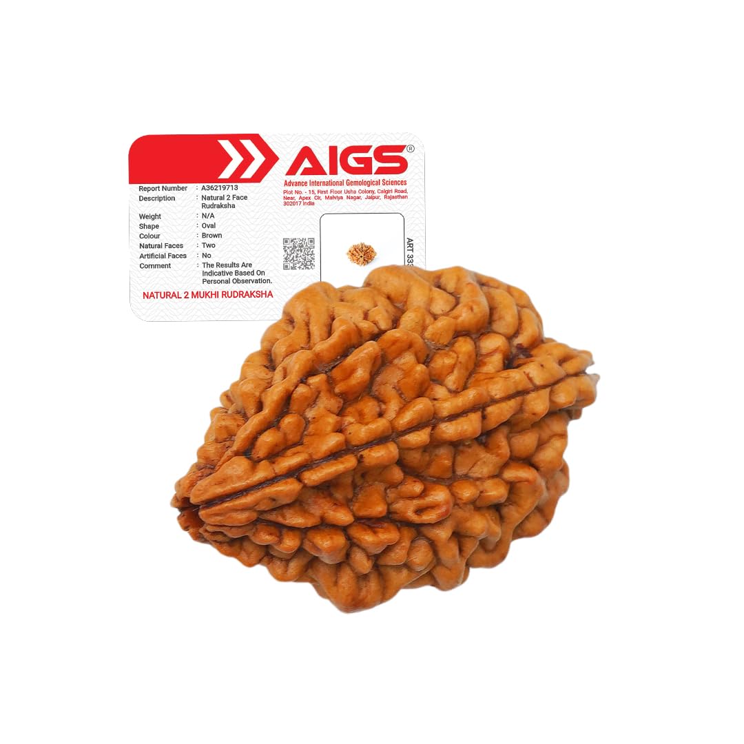 4 Mukhi Rudraksha - Nepal Origin | Wisdom & Communication -16 4 Mukhi Rudraksha - Nepal Origin | Wisdom & Communication -16