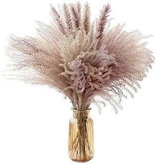 Cxssxling trawa pampasowa 60 cm - naturalna trzcina - dekoracja z suszonych roślin - bukiet z dużej trawy - na wesele, ceremonię, do domu