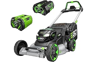 ego lm2206sp 56-Volt 22-Inch Cutting Deck Cordless Lawn Mower