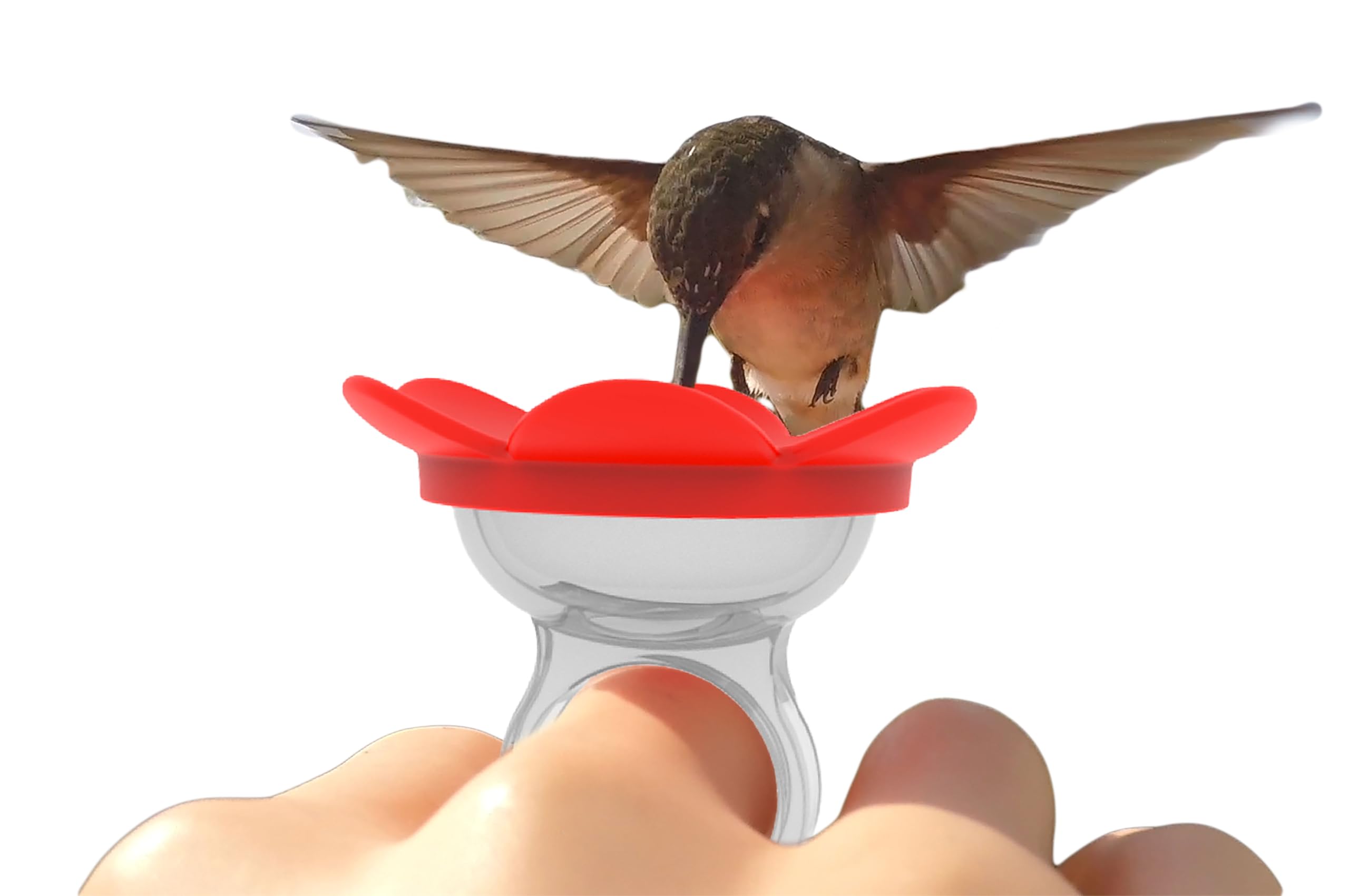 Hummingbird Ring Feeder