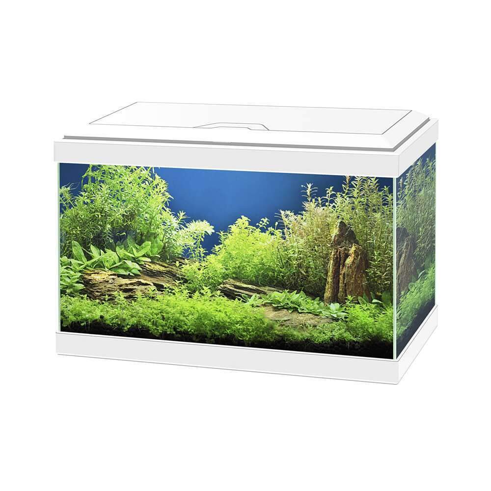 ASKOLL Acquario Aqua 20 bianco 40x20x31 con led e filtro 17 litri