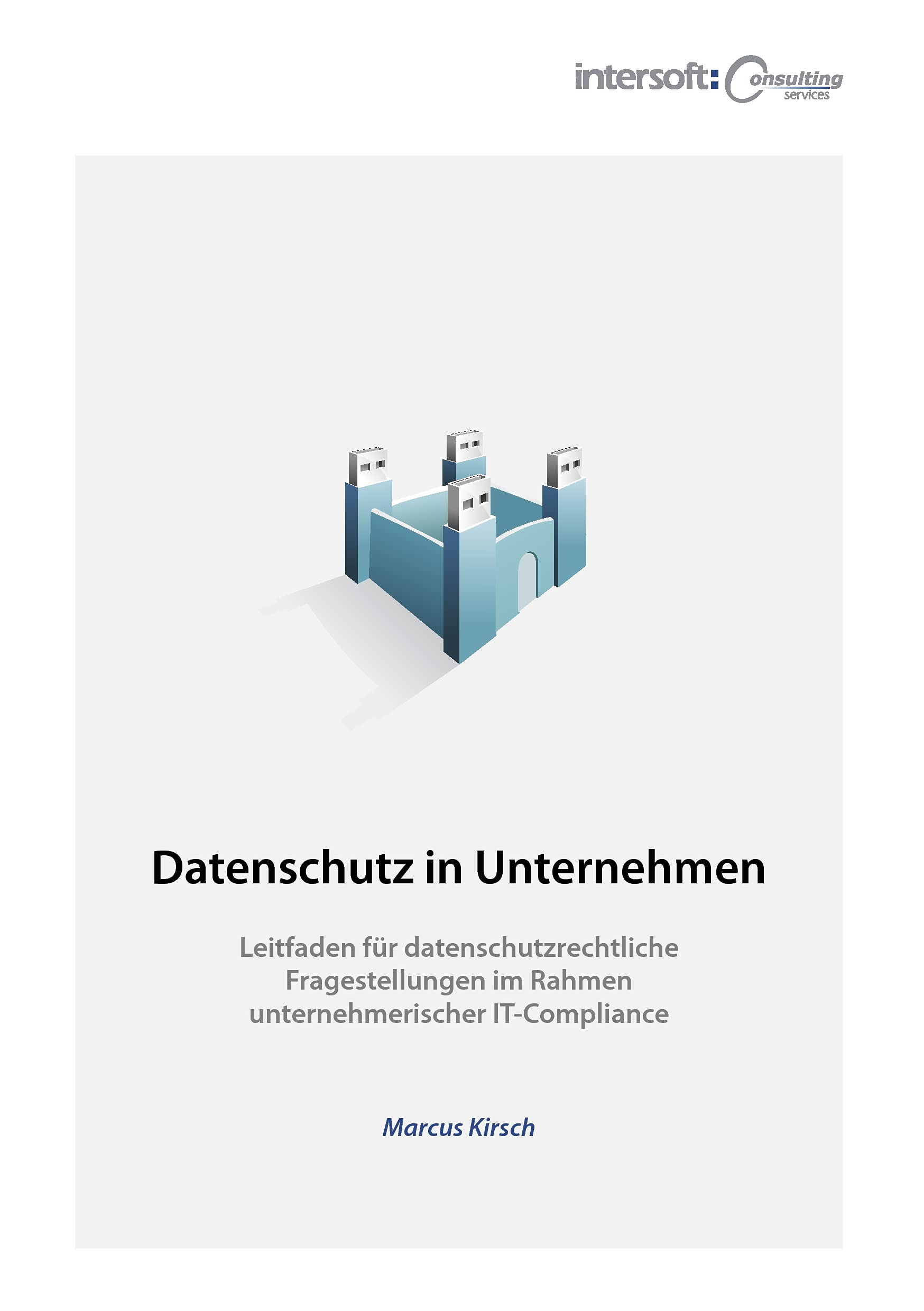 Datenschutz in Unternehmen: Leitfaden für datenschutzrechtliche Fragestellungen im Rahmen unternehmerischer IT-Compliance
