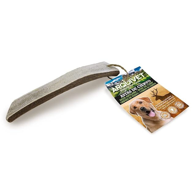 Arquivet Asta de ciervo - mordedor para perros - M (51-80 g)