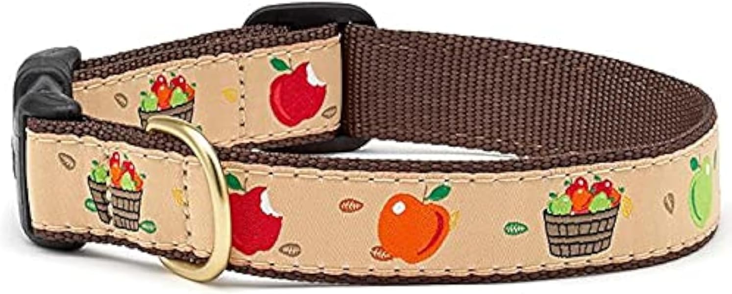 Up Country Apple of My Eye Dog Collar, Medium (12 to 18 inches) 1 inch Wide Width