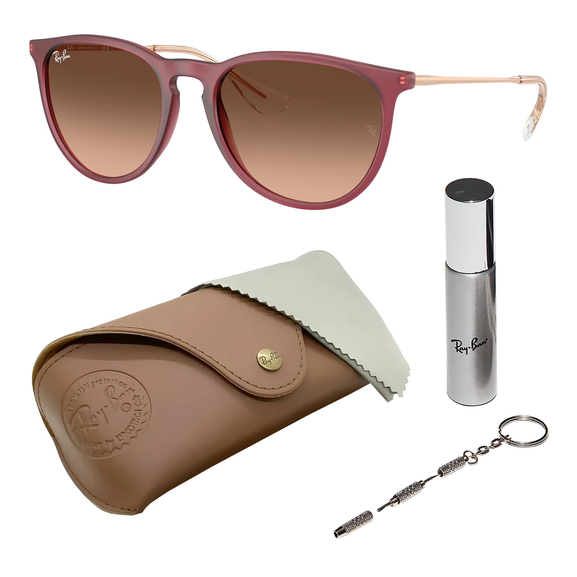Ray-Ban RB4171 ERIKA CLASSIC Phantos Shaped Sunglasses for Men Women with Official RAYBAN Eyewear Kit