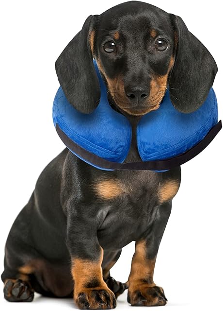 FurDreams Inflatable Dog and CatProtective Cone for Recovery - Small, Easy to Clean Removable Washable Cover, Comfortable and Soft Inner Collar Loops, Non-Toxic Material Used