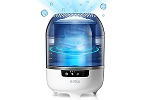 Air Purifier and Humidifier Combo for Homes with HOCL Generator Disinfection