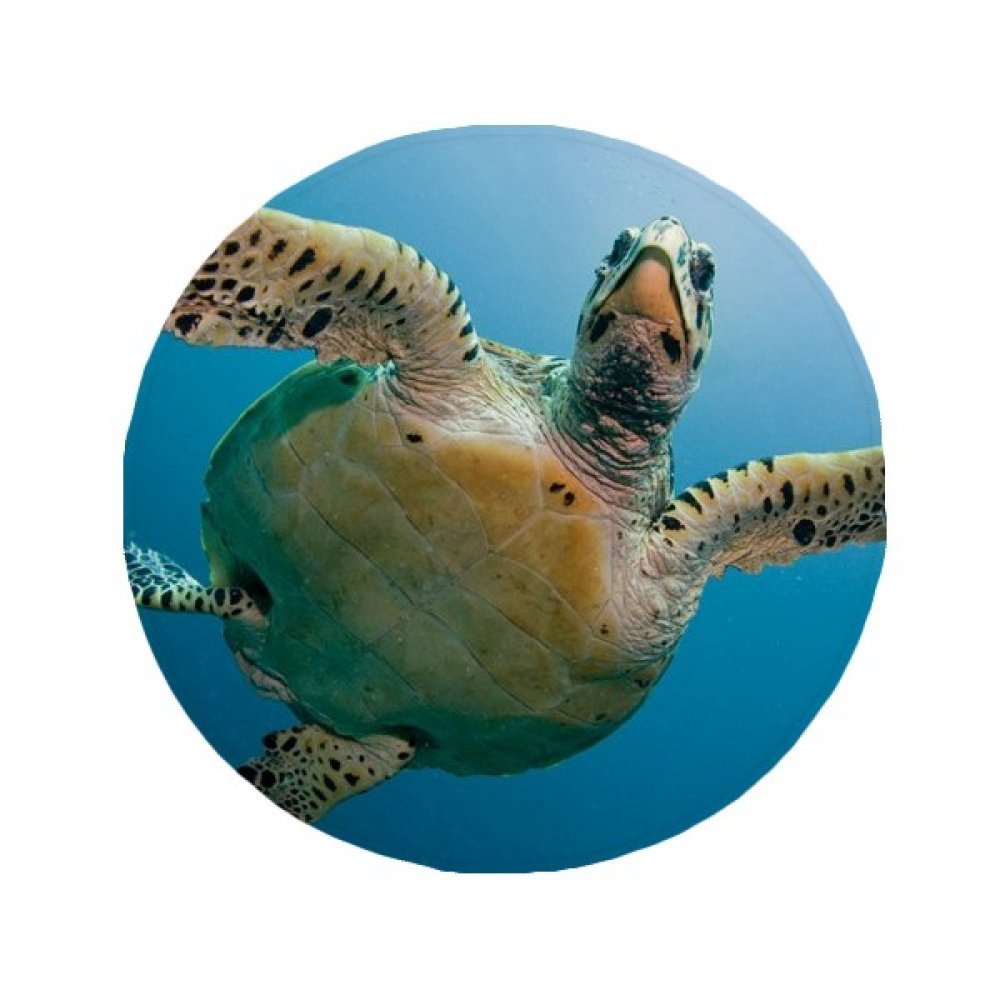 Tapis de sol ocean bleu tortue : une idée cadeau originale pour la maison