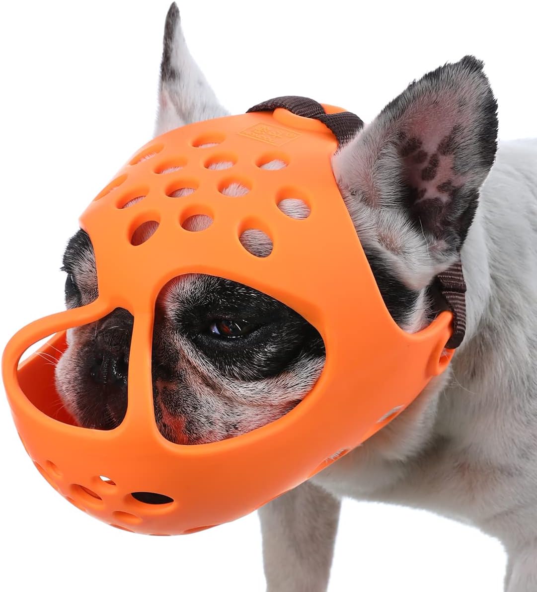muzzle for shih tzu amazon