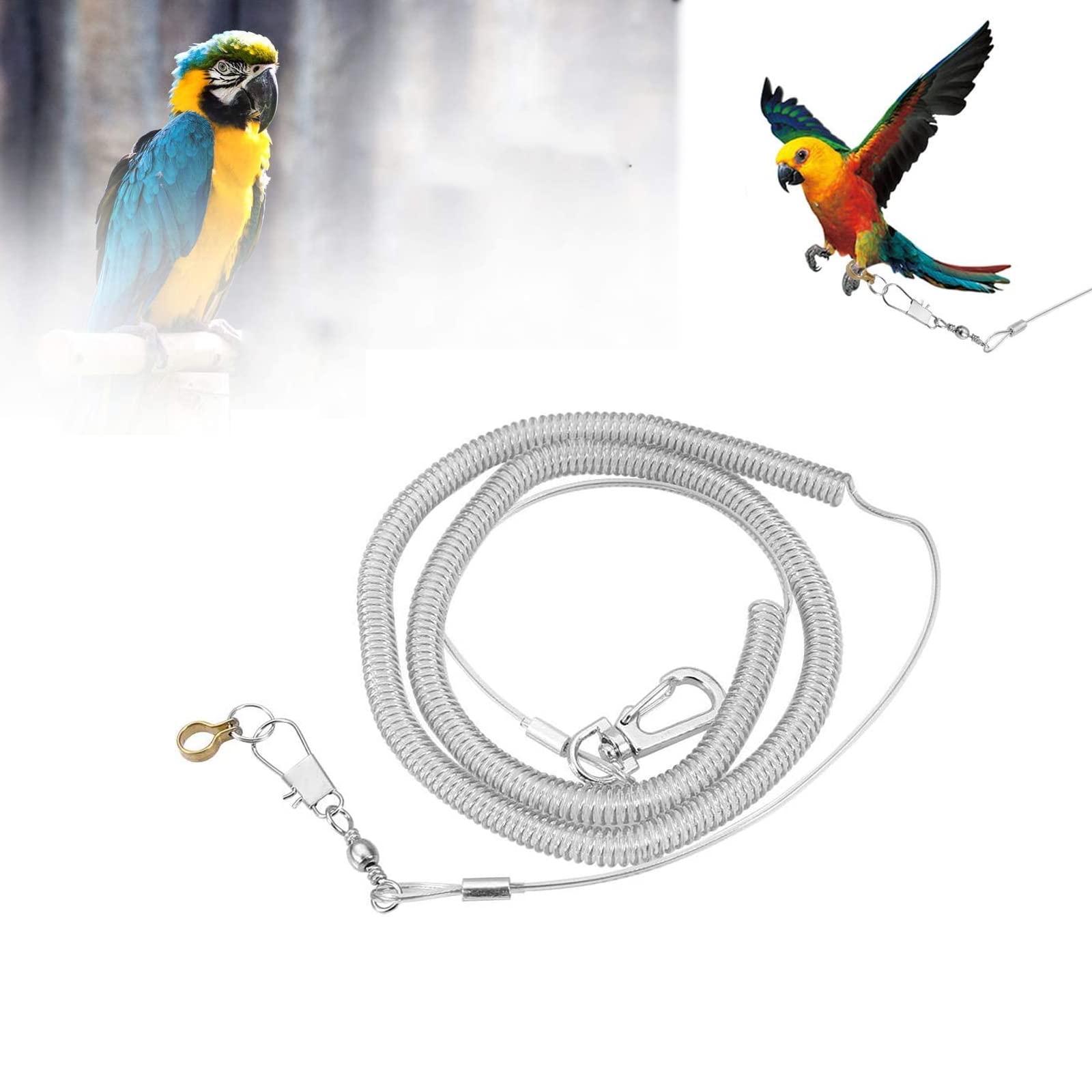 ELECDON 6m Parrot Flying Rope & Harness - Anti-Bite Aviator Leash for Macaw, African Grey & Parakeet (Foot Ring Dia 8.5mm) - Pet Supplies
