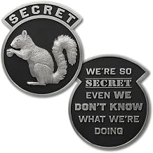 USAF Secret Squirrel We're So Secret Challenge Coin