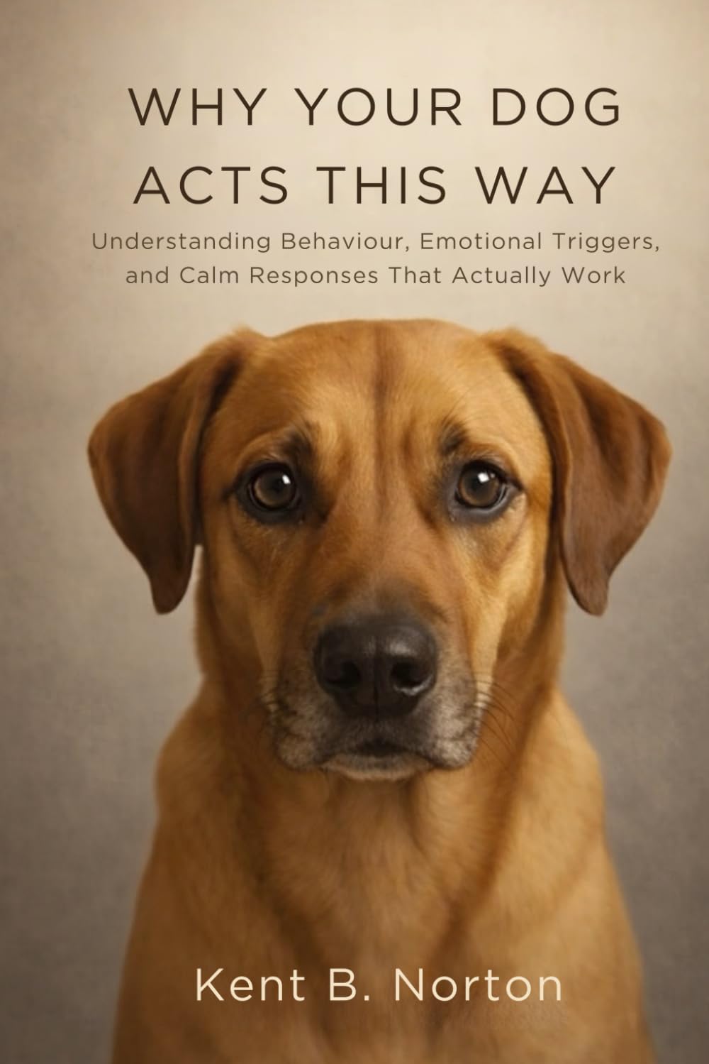WHY YOUR DOG ACTS THIS WAY: Understanding Behaviour, Emotional Triggers, and Calm Responses That Actually Work