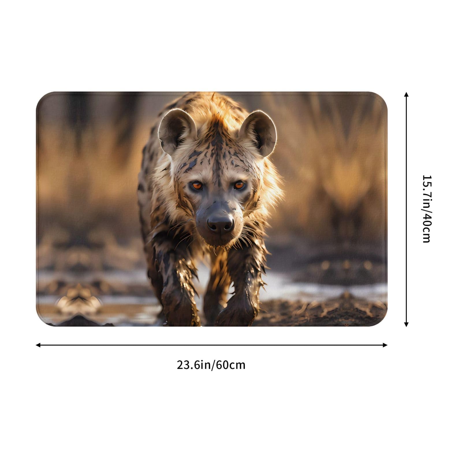 Amazon.com: KINGNOYI Lone Hyena Durable Indoor Door Mat,Funny