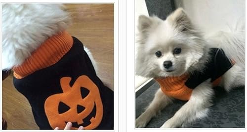 Miniatura 2 de MaruPet Suéter acanalado de dos piernas para perrito de Año Nuevo, prendas de punto, cuello alto, Halloween, calabaza, impreso, chaleco de algodón