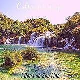  2 Hores de Spa Relax Ambiente
