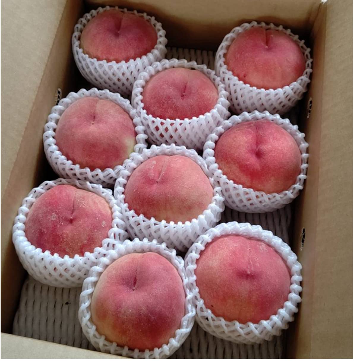 Amazon.co.jp: 桃 もも 特秀品 福島県産 約 3kg (7～16玉) ギフト