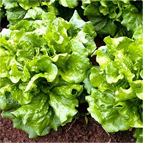 Esselunga Insalata Mediterranea 250 G - Foto 9