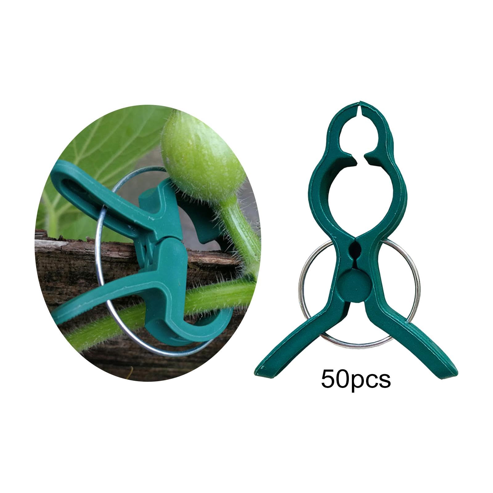3 Set mit 50 Stück Pflanzenclips Pflanzenstützclips Zimmerpflanzen zur Unterstützung von Stielen Fisch L, Grün