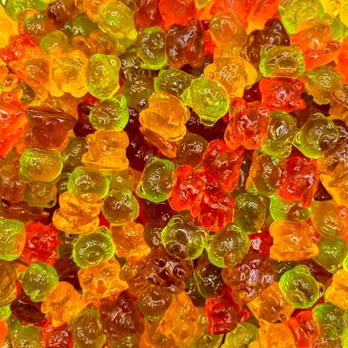 Sugar-Free Gummi Bears | 1 Pound Bag | 3D Candy in Assorted Fruit Flavors