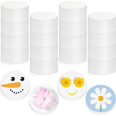 Henoyso Foam Cylinders for Crafts, 16 Pcs Polystyrene Foam Discs for Friendship...