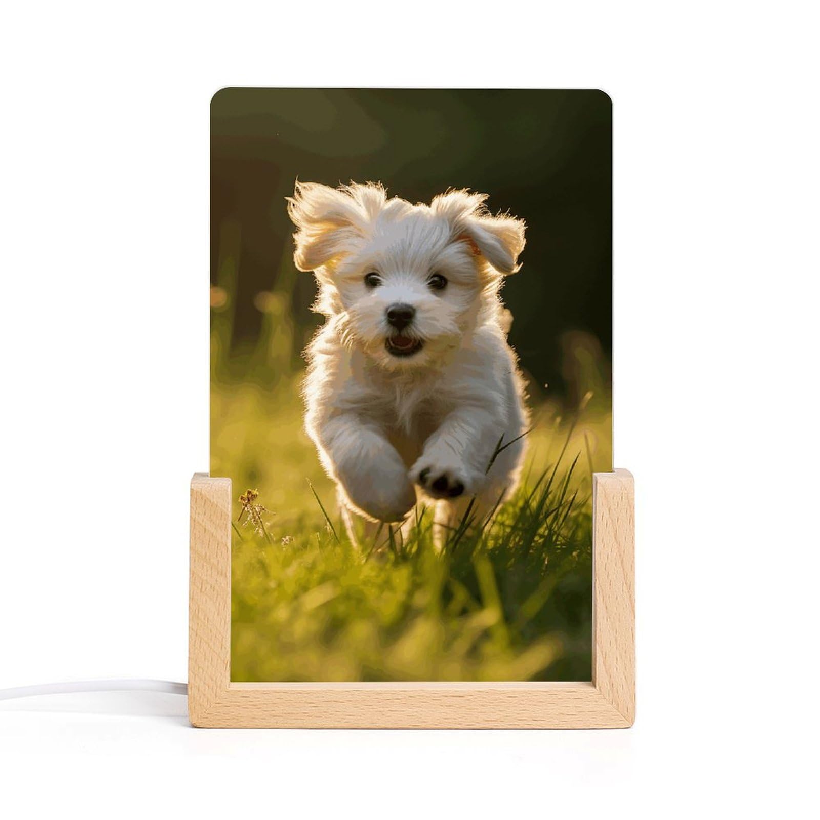 JTREHY Acrylic Night Light,Puppy Crossing The Grass Printed Wooden Base LED Night Light Modern Home Decoration Light with USB Switch Cable for Bar Cafe Bedroom Room Decoration