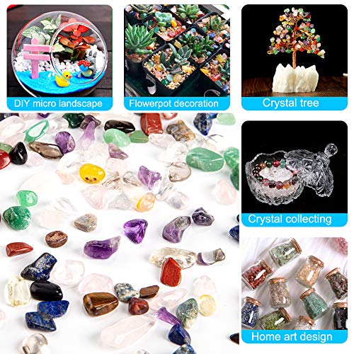 Forby Assorted Stone Tumbled Chips Stone Crushed Crystal Quartz Irregular Shaped Stones For Home Decorative Stones Vases Plants Succulents Cactus 1Pound(About 460 Gram) #TOP7